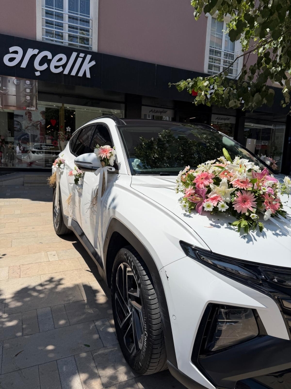 CANLI ARAÇ SÜSLEME