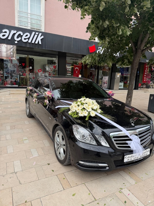 CANLI ARAÇ SÜSLEME